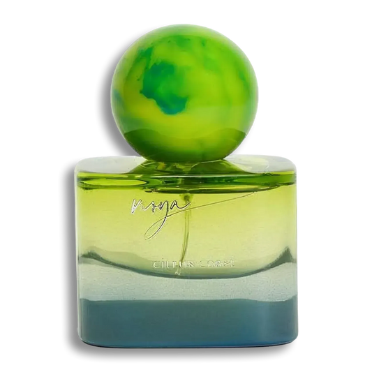 Product shot of Citrus Coast by House of Noya