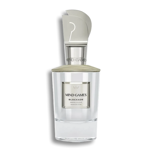 Product shot of Blockade by Mind Games