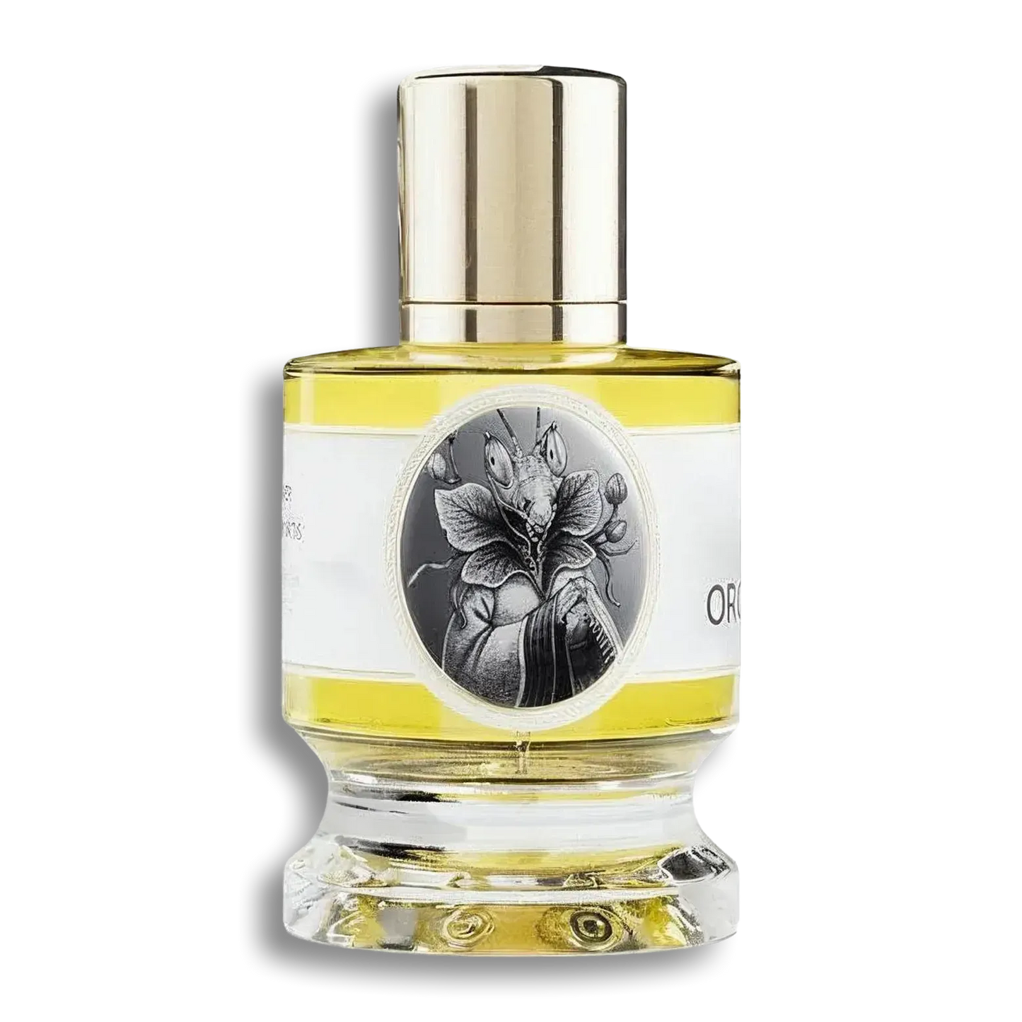 Product shot of Orchid Mantis by Zoologist