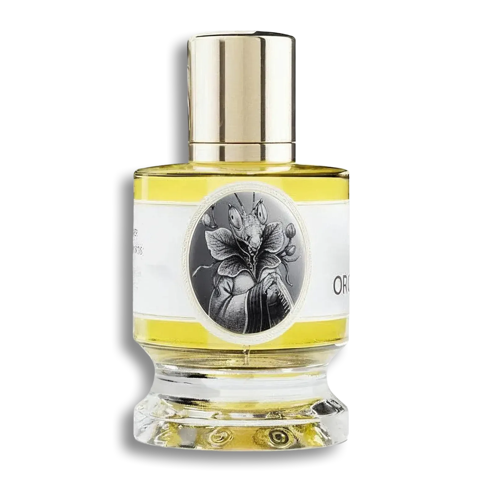 Product shot of Orchid Mantis by Zoologist