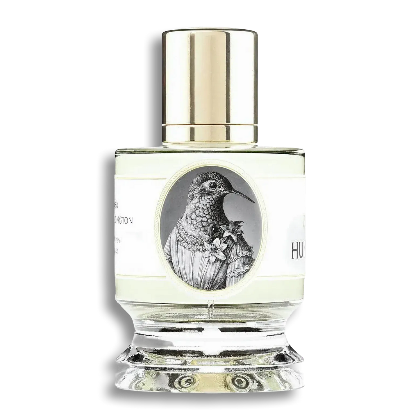 Product shot of Hummingbird by Zoologist
