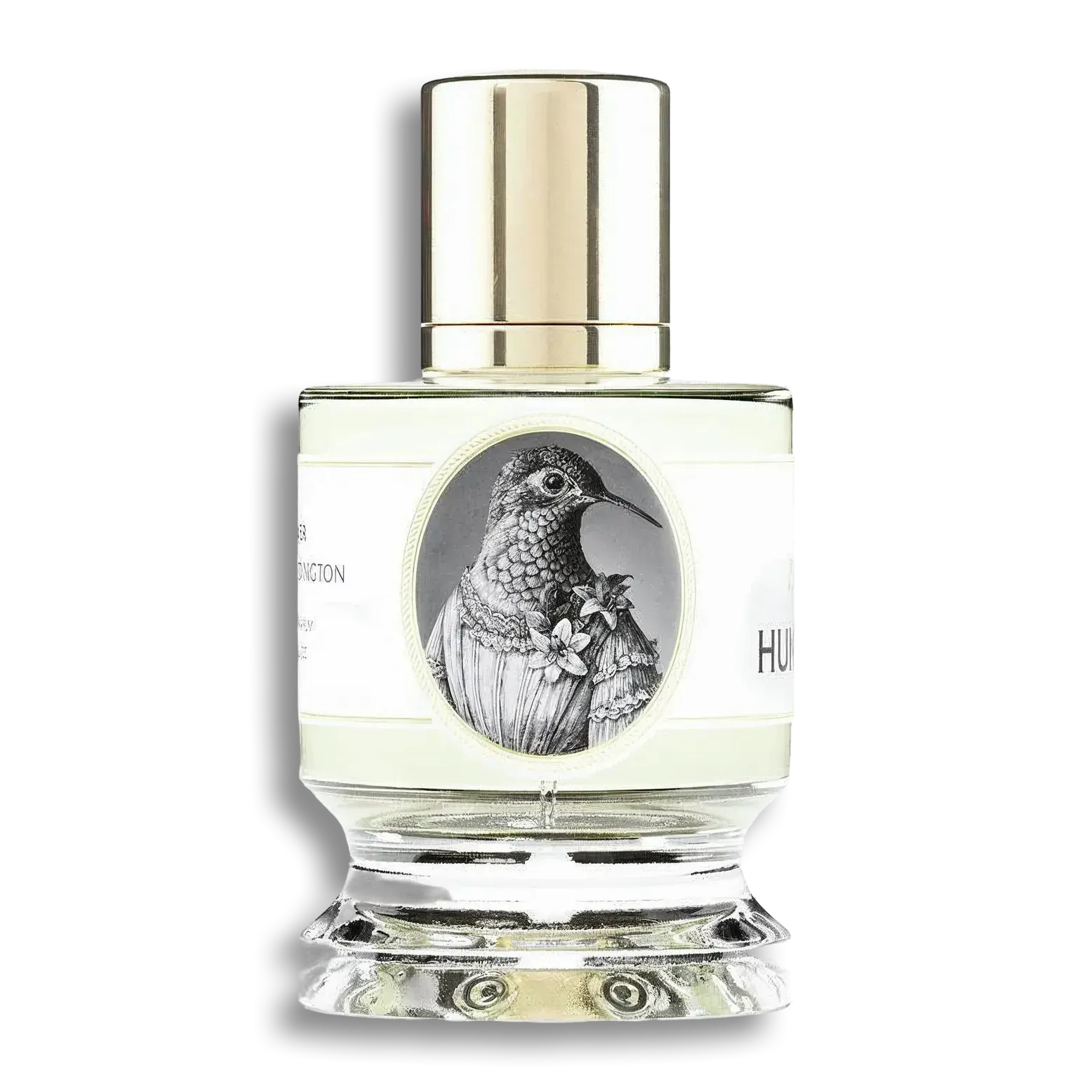 Product shot of Hummingbird by Zoologist