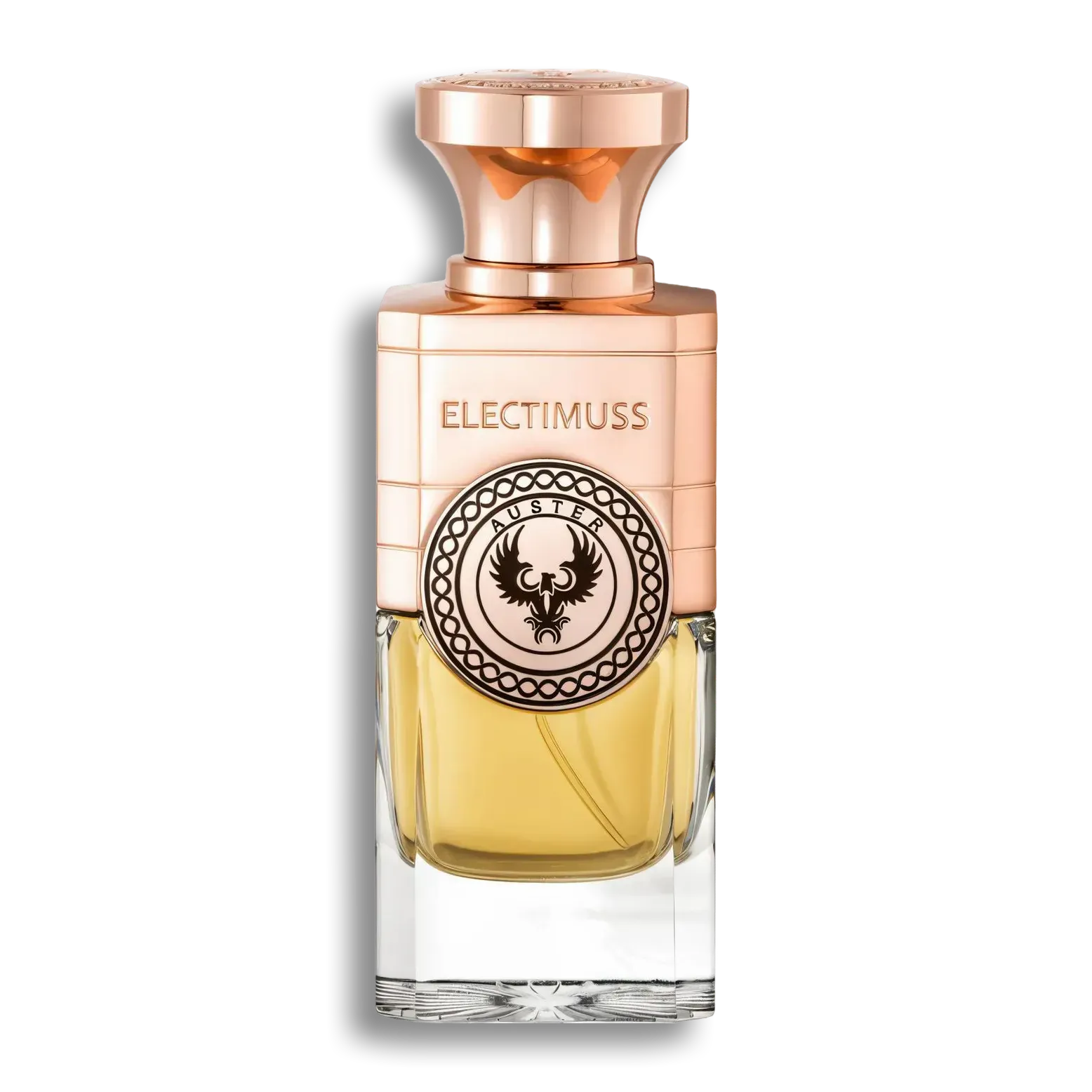 Product shot of Auster by Electimuss