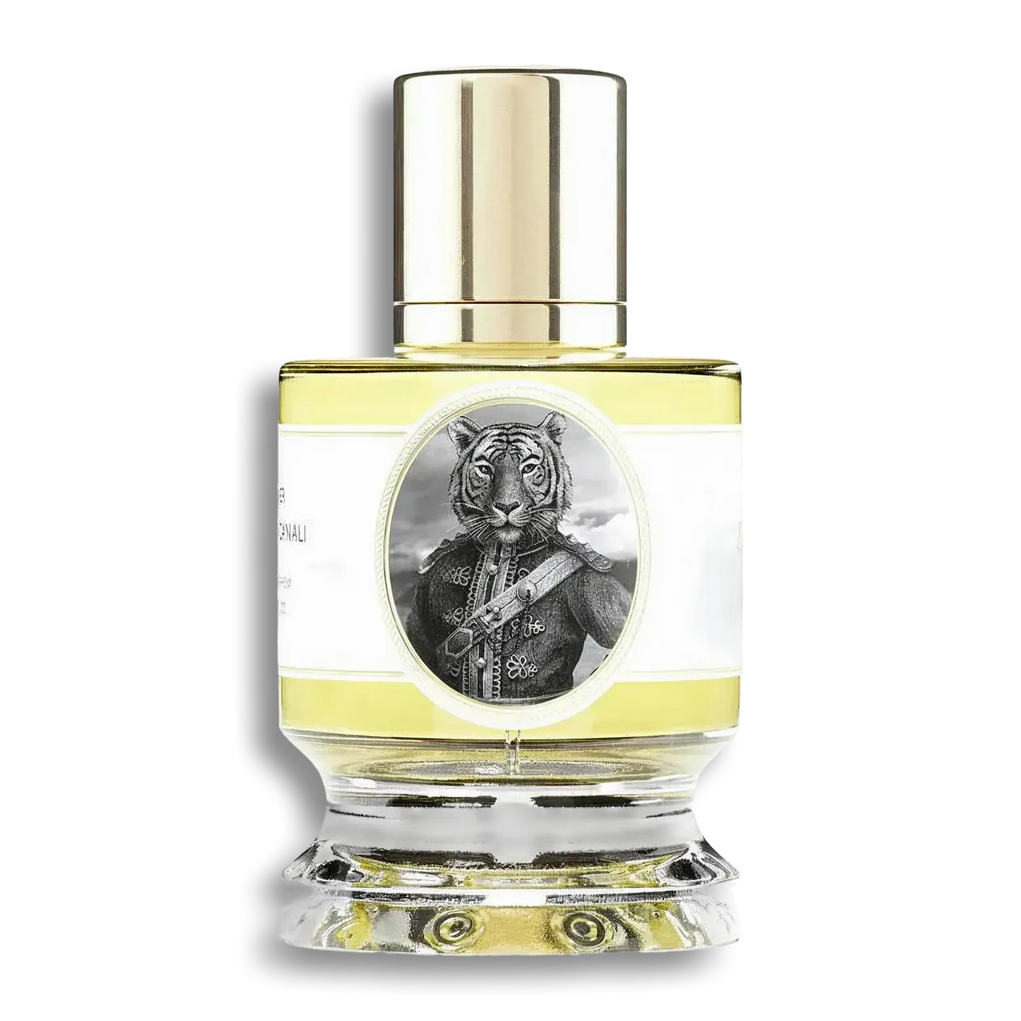 Product shot of Tiger by Zoologist