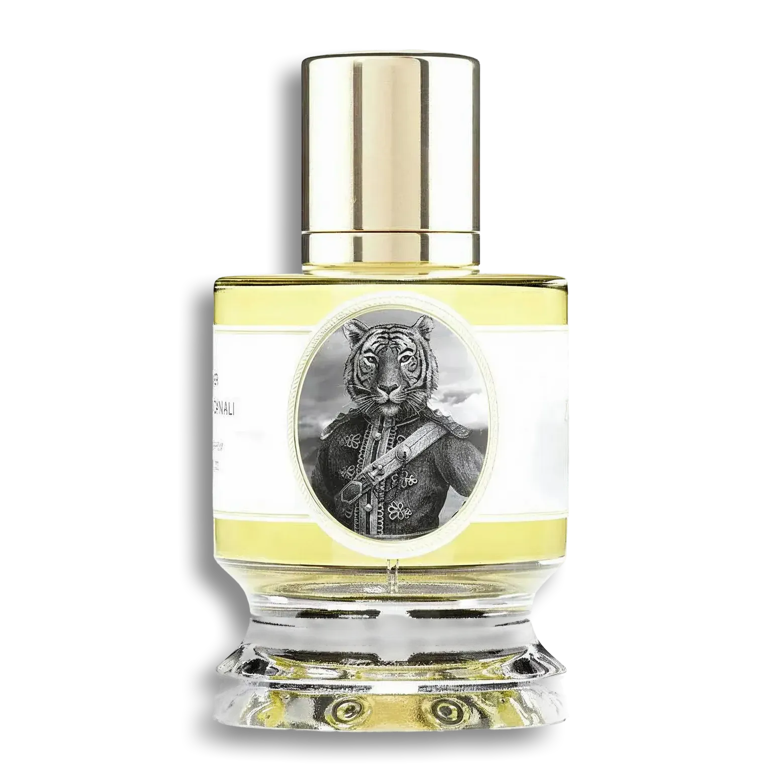 Product shot of Tiger by Zoologist