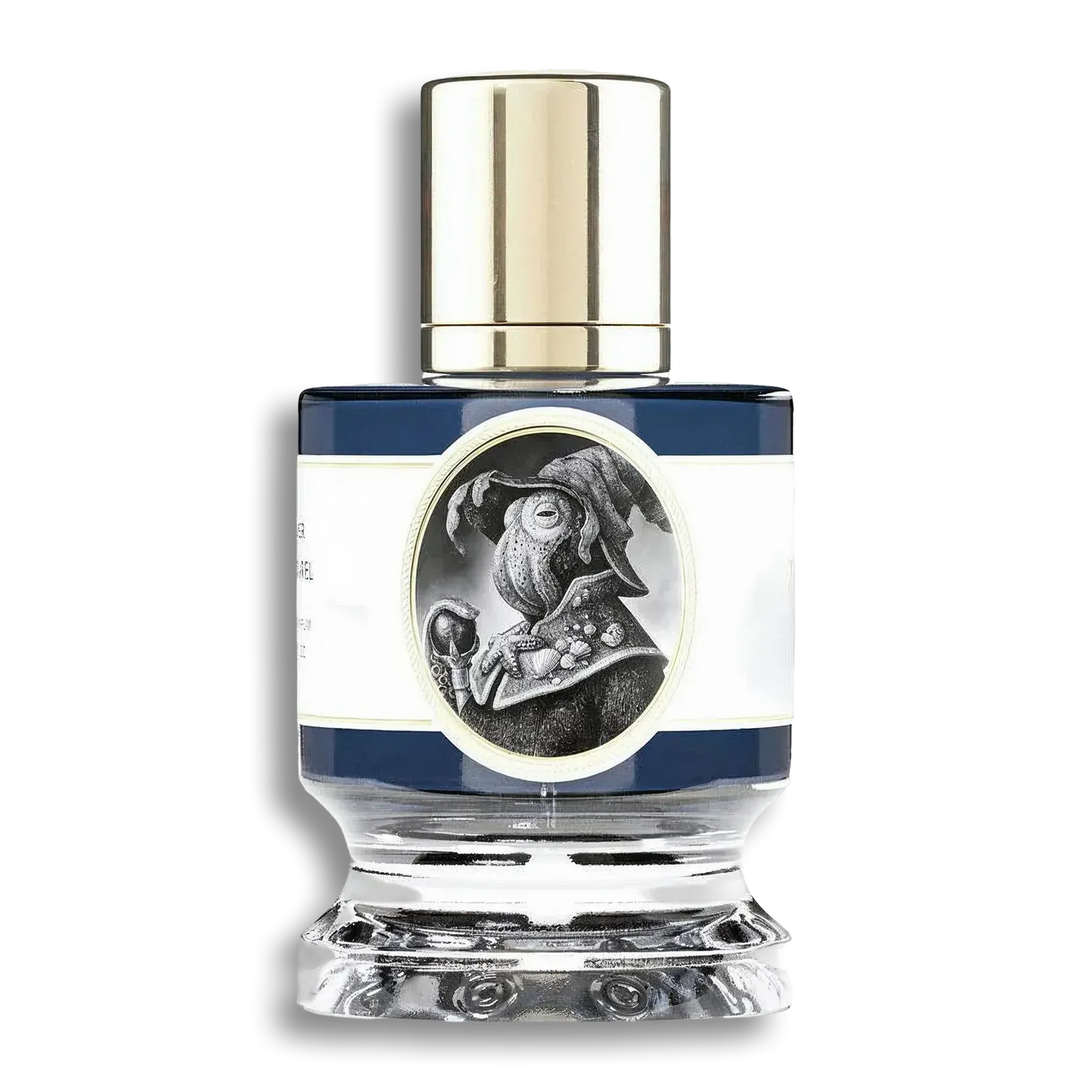 Product shot of Squid by Zoologist