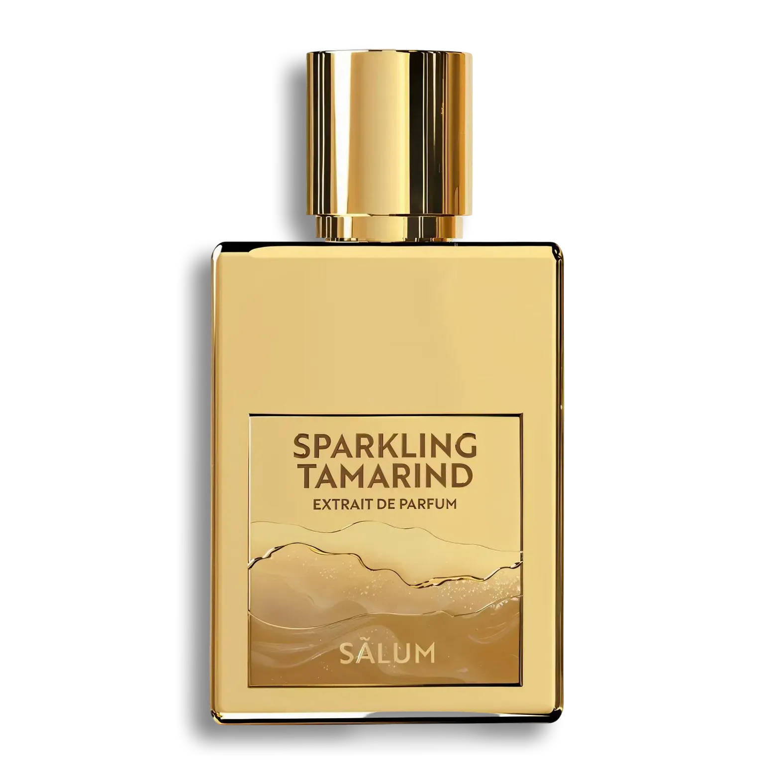 Product shot of Sparkling Tamarind by Sãlum