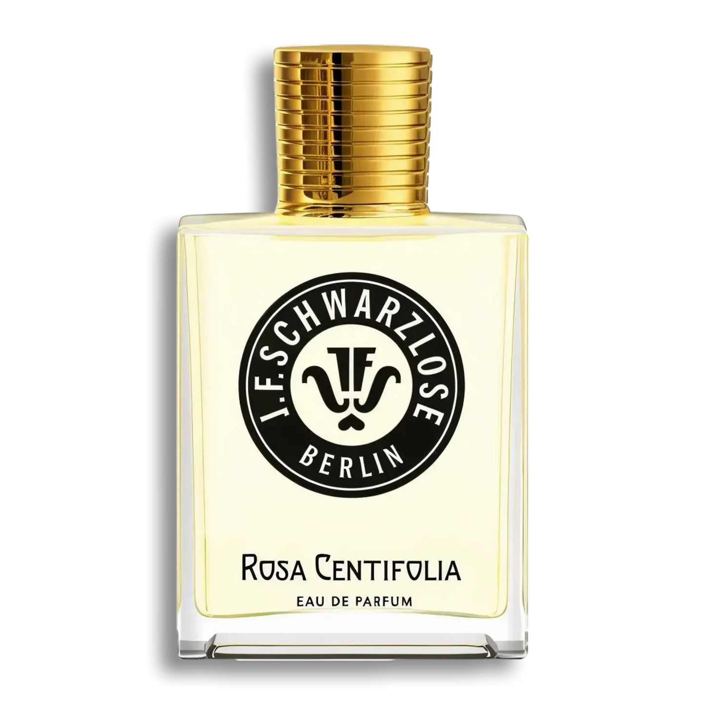Product shot of Rosa Centifolia by J.F. Schwarzlose Berlin