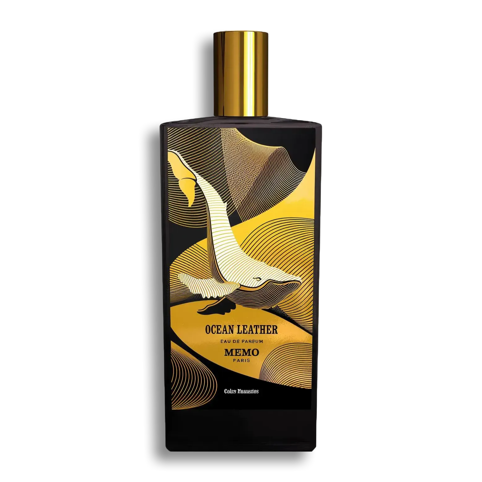 Product shot of Ocean Leather by Memo Paris