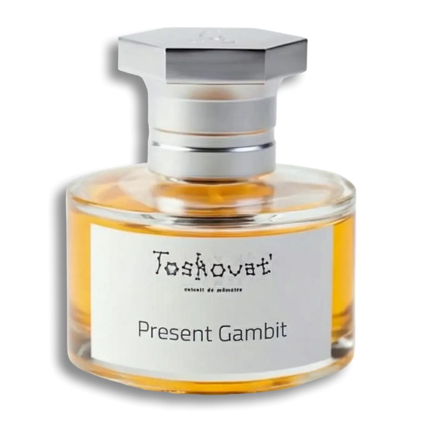 Product shot of Present Gambit (Formerly known as F7) by Toskovat