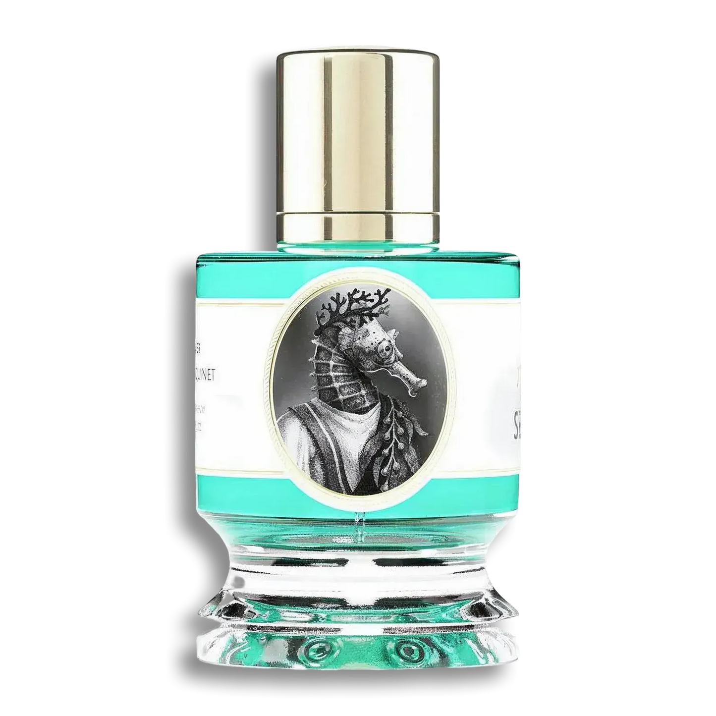 Product shot of Seahorse by Zoologist