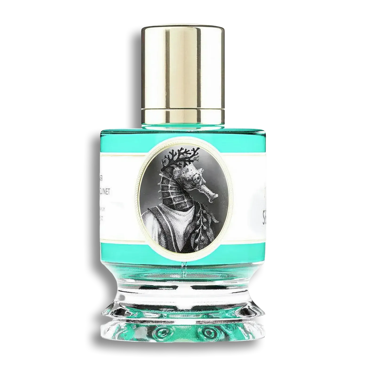 Product shot of Seahorse by Zoologist