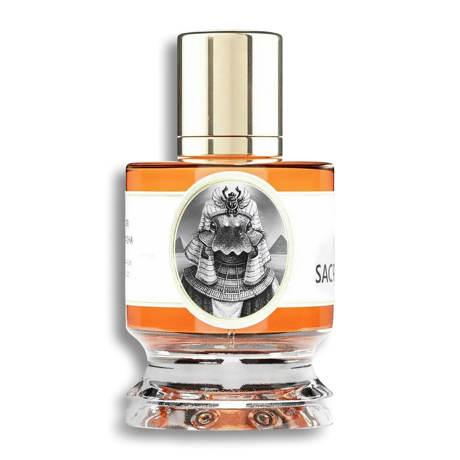 Product shot of Sacred Scarab by Zoologist
