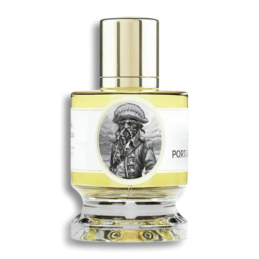 Product shot of Portuguese Man O' War by Zoologist