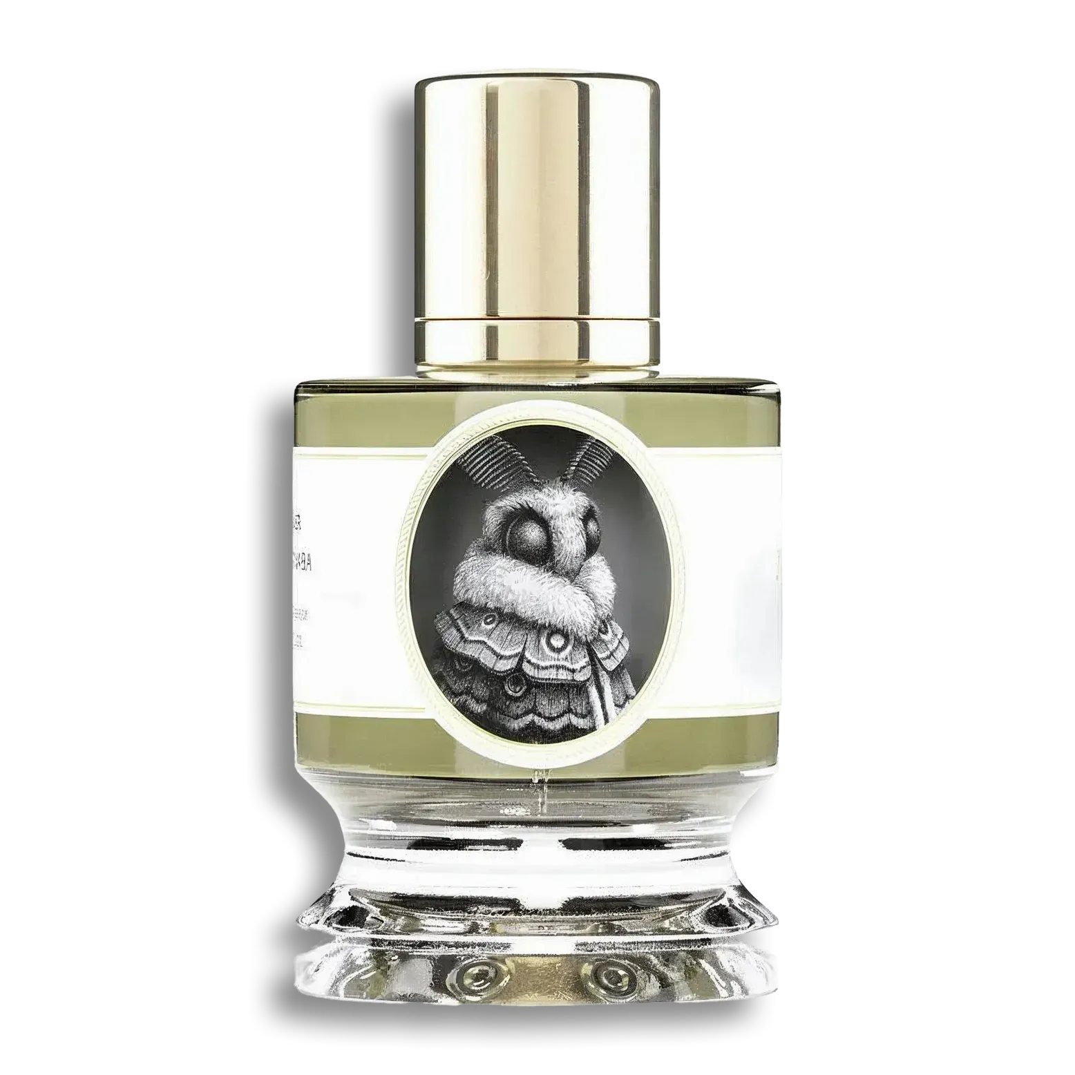 Product shot of Moth by Zoologist