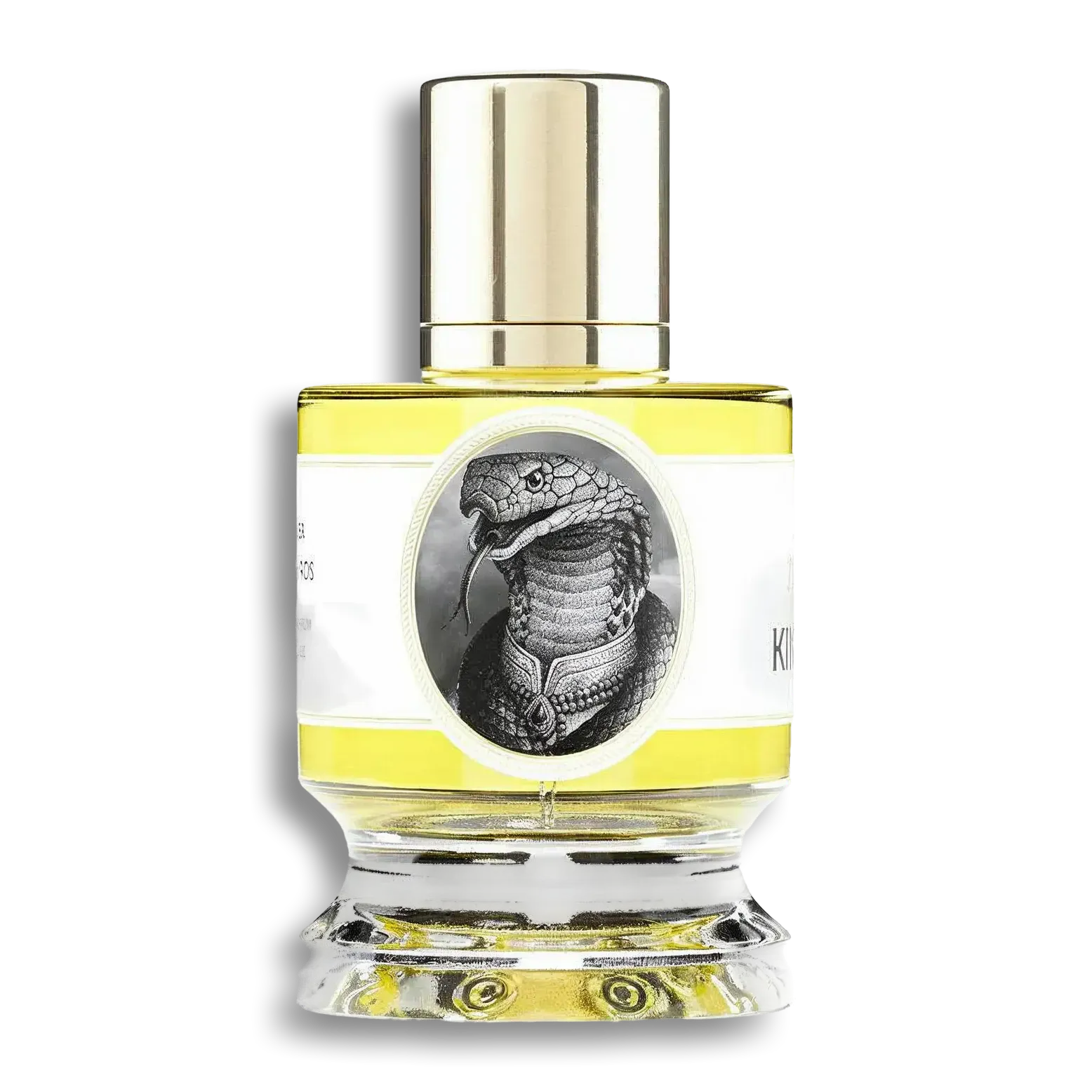 Product shot of King Cobra by Zoologist