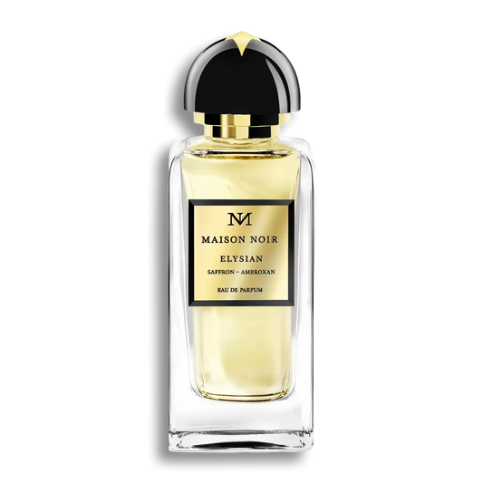 Product shot of Volantis 685 by Maison Noir