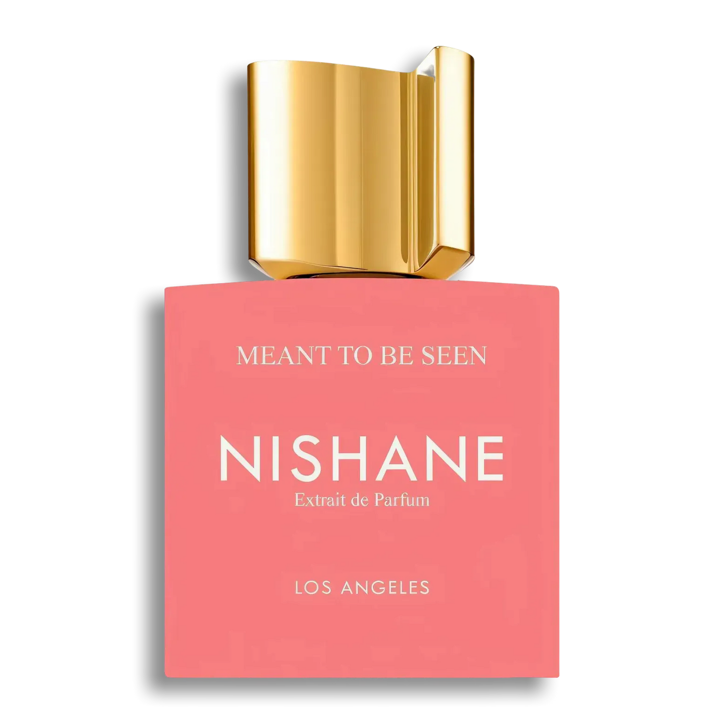 Product shot of Meant to be seen by Nishane