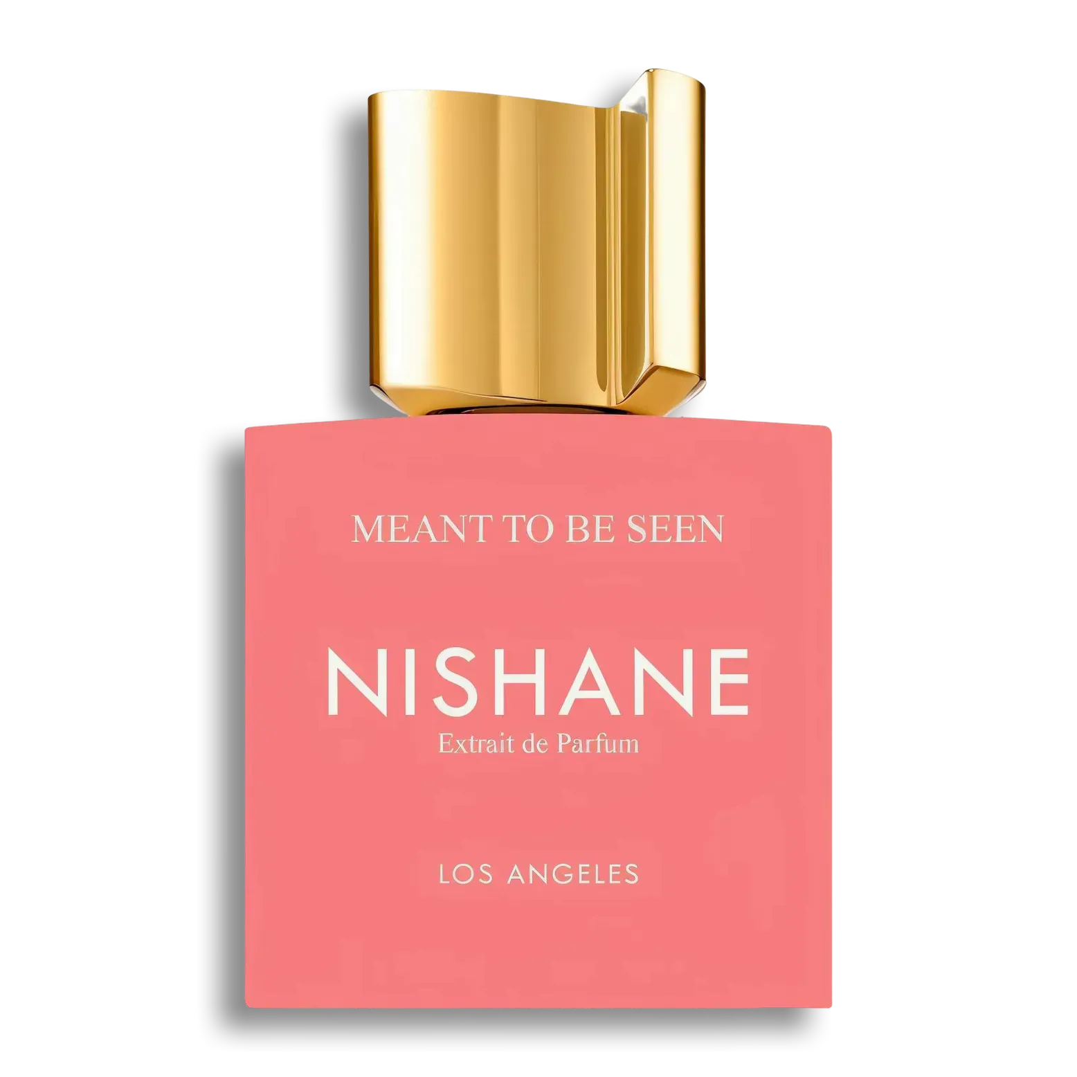 Product shot of Meant to be seen by Nishane