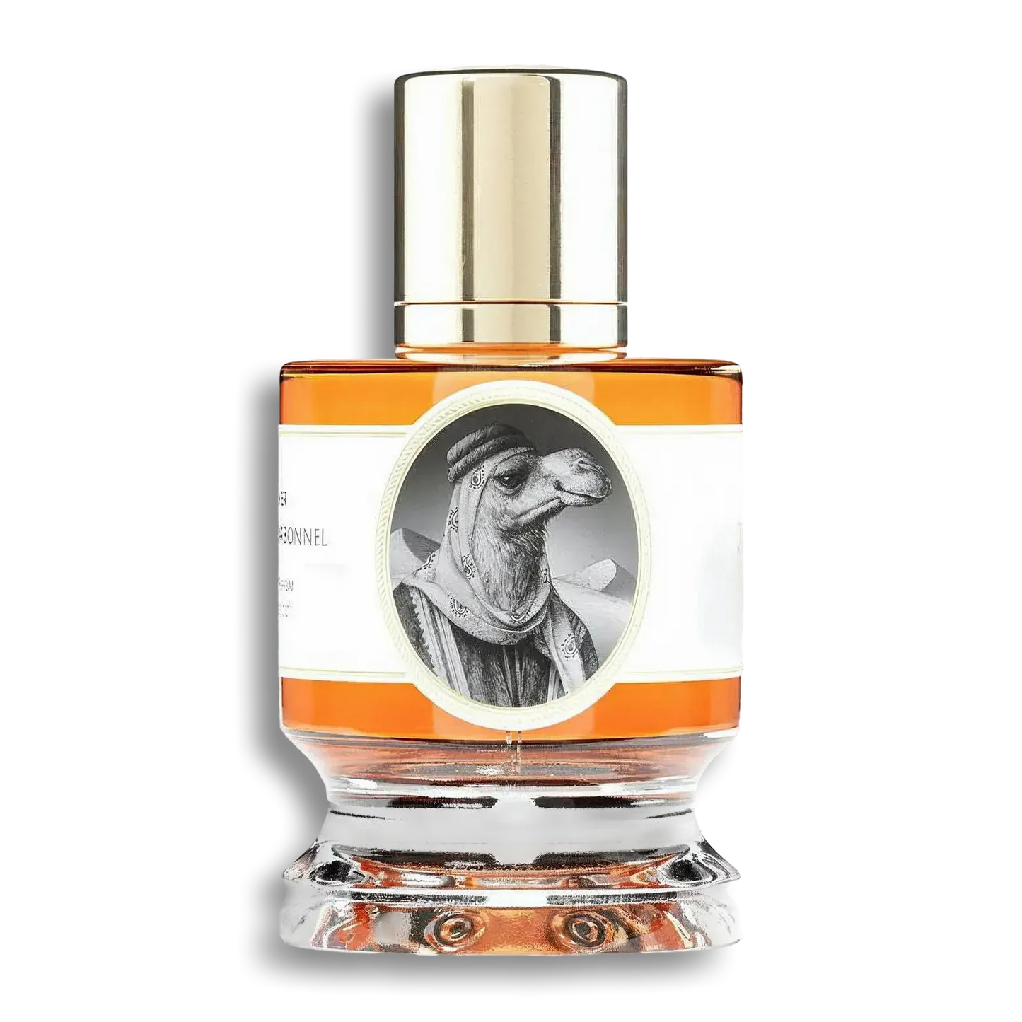 Product shot of Camel by Zoologist