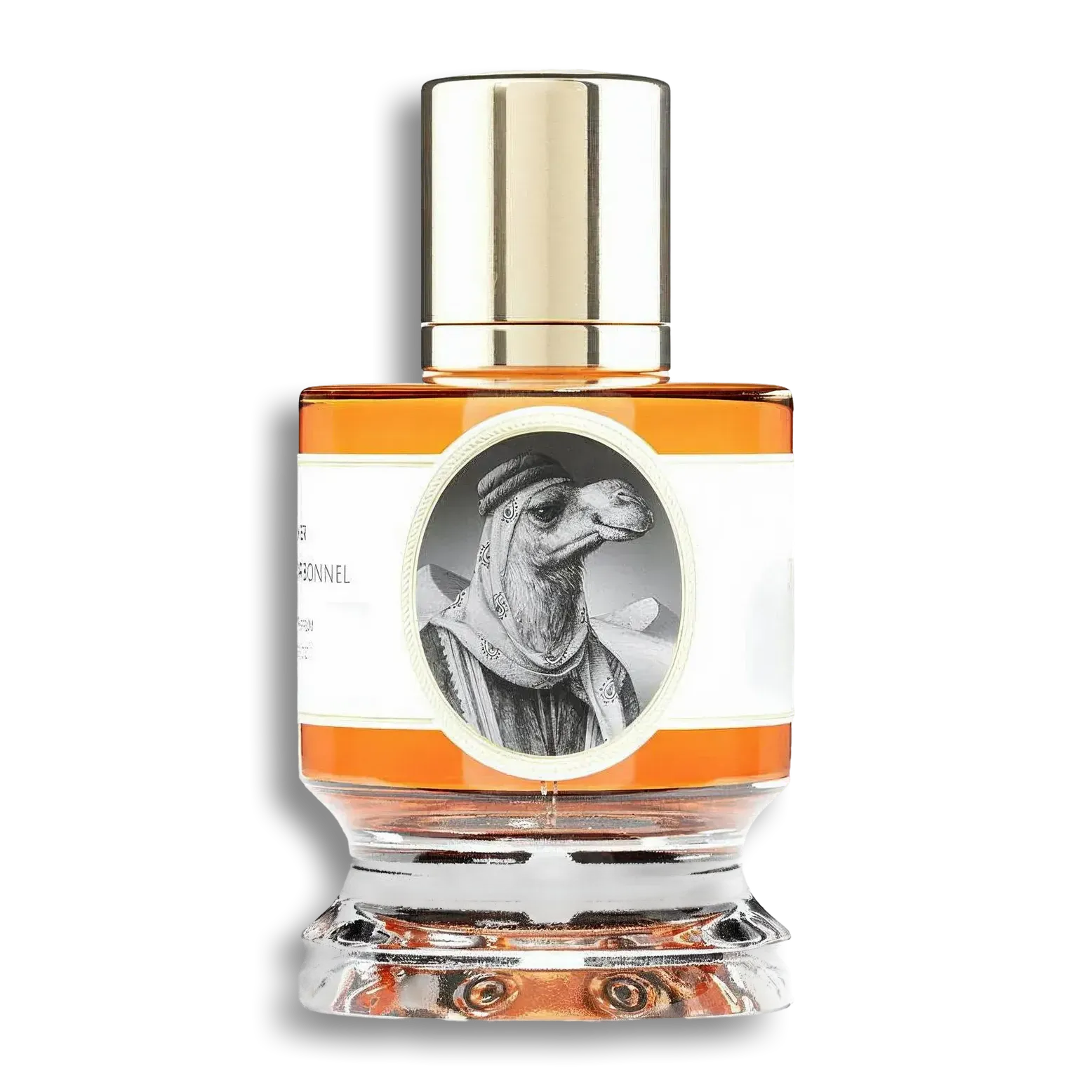 Product shot of Camel by Zoologist