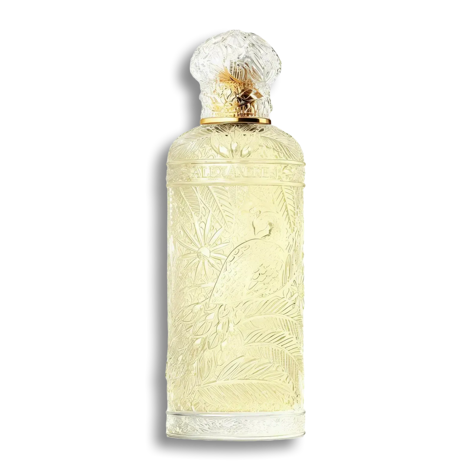 Product shot of Imperial Peacock by Alexandre.J