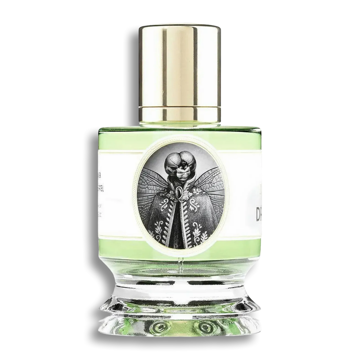 Product shot of Dragonfly by Zoologist