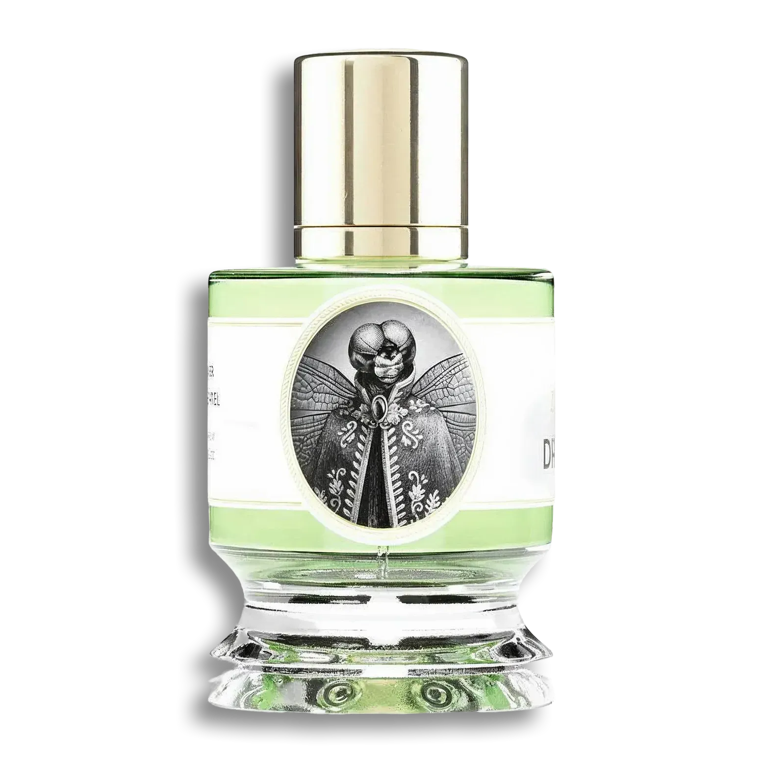 Product shot of Dragonfly by Zoologist