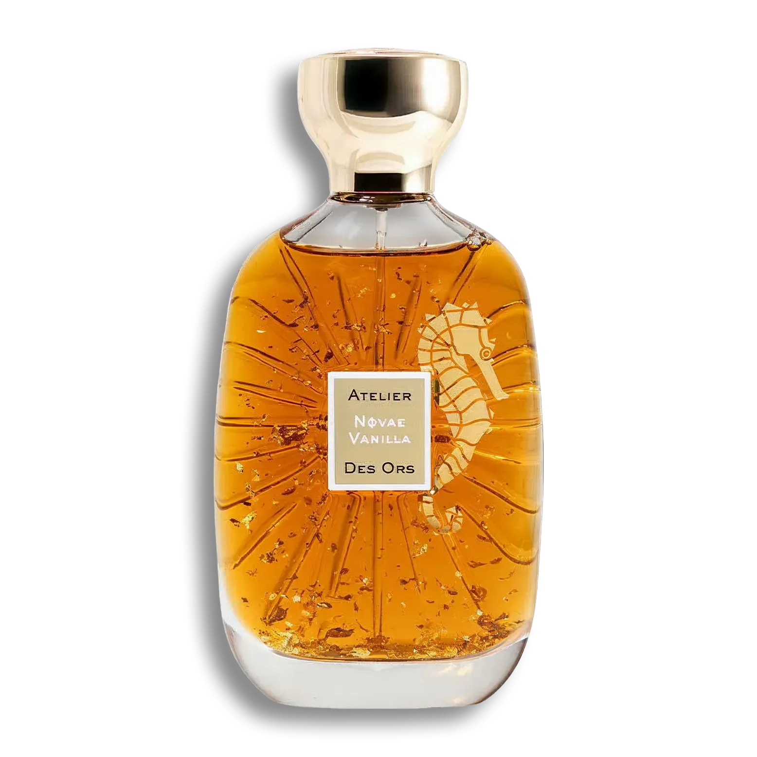 Product shot of Novae Vanilla by Atelier des Ors