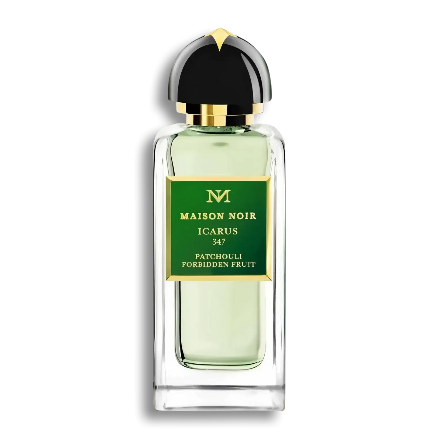 Product shot of Icarus 347 by Maison Noir