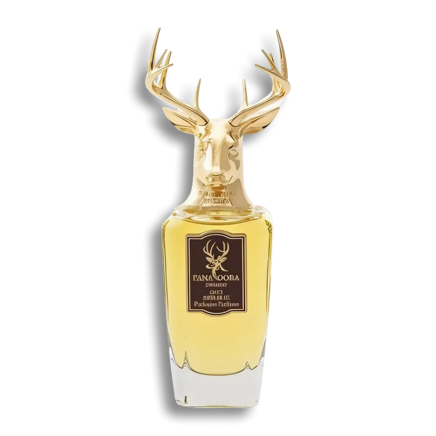 Product shot of Oud Republic by Pana Dora
