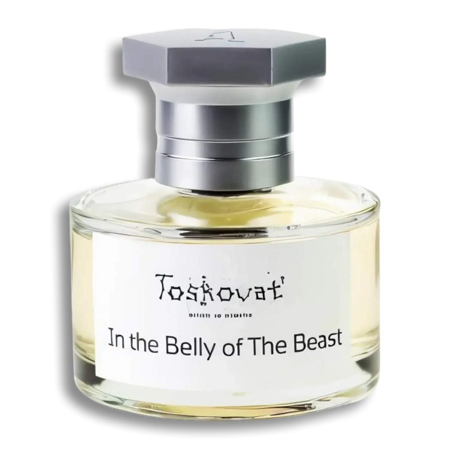 Product shot of In the Belly of the Beast by Toskovat
