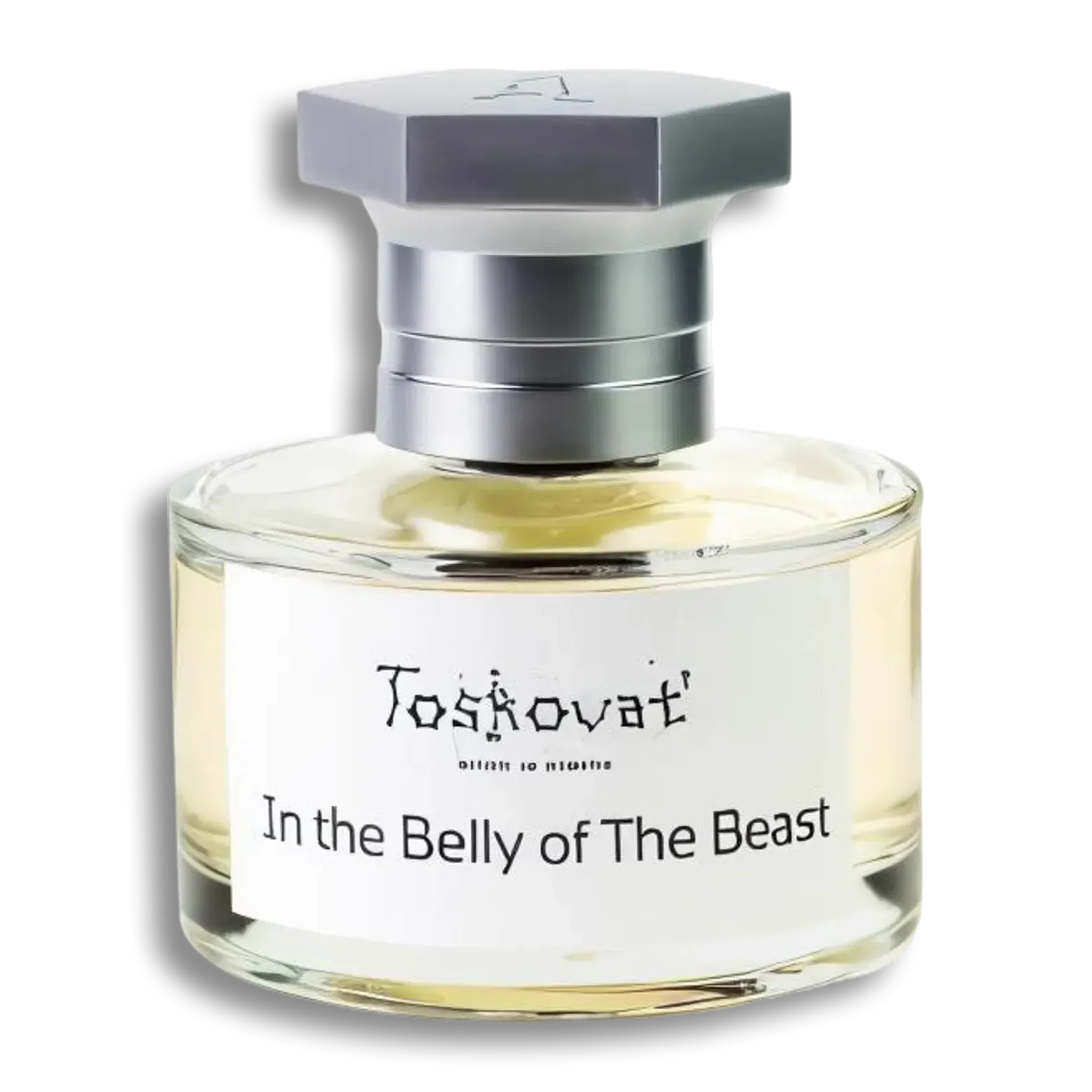 Product shot of In the Belly of the Beast by Toskovat