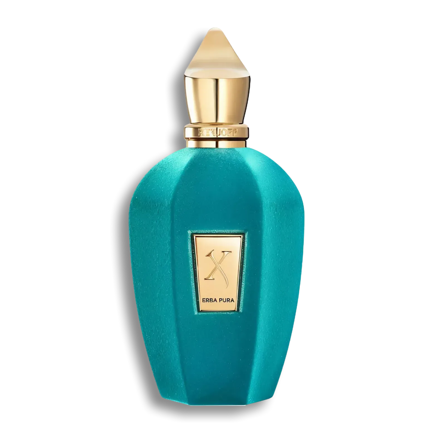 Product shot of Erba Pura by Xerjoff