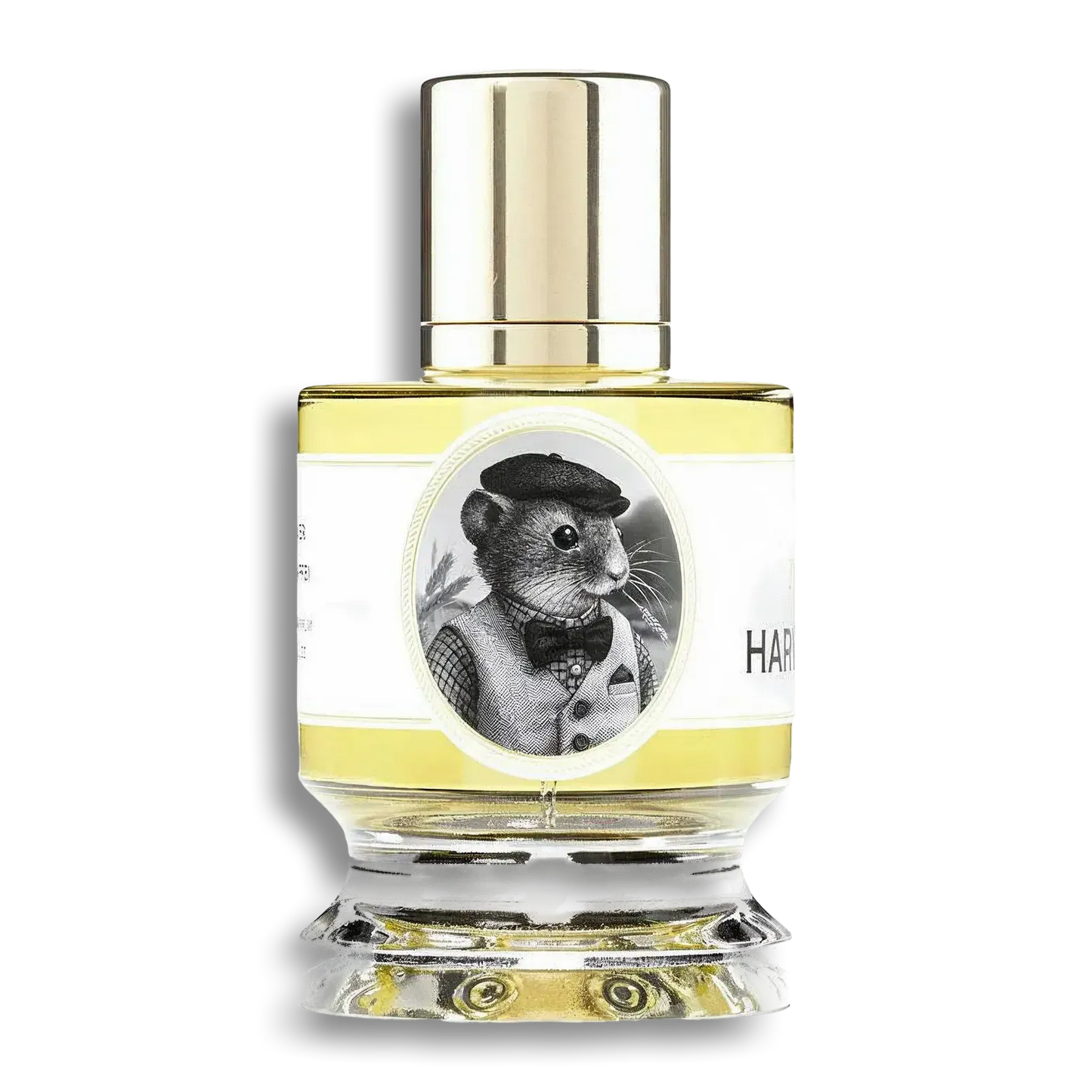 Product shot of Harvest Mouse by Zoologist