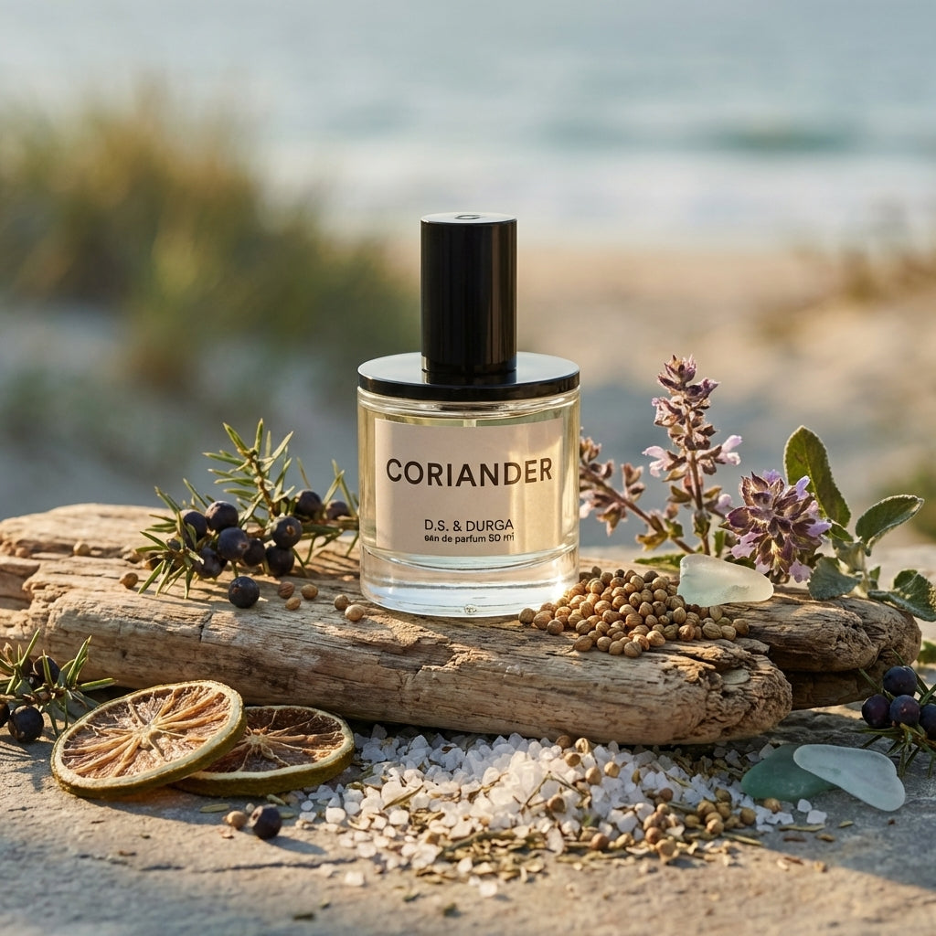 Atmospheric scene of Coriander by D.S. & Durga